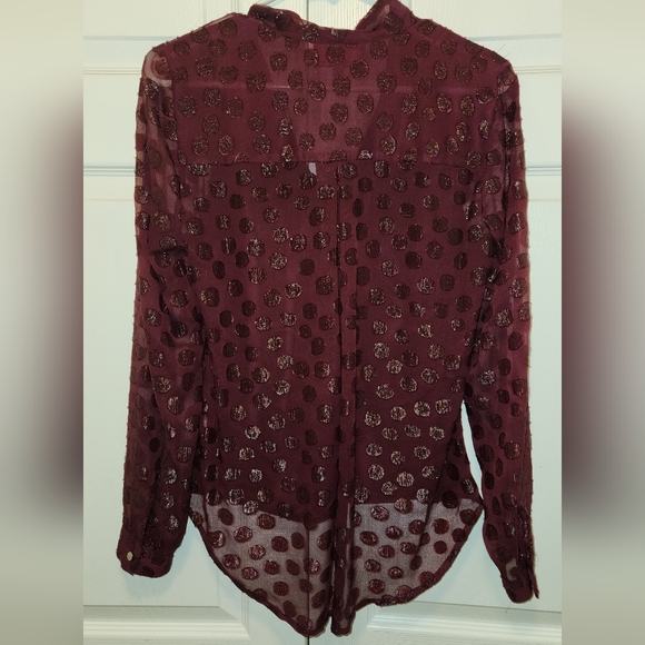 EUC Jennifer Lopez Long sleeve sheer blouse - Picture 5 of 5